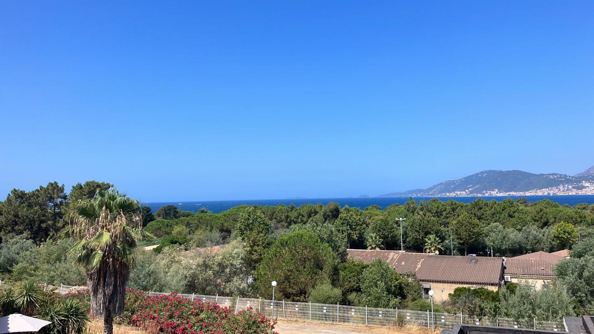 Porticcio Vacations - Terrasse, Piscine, Jacuzzi, Clim - By Tgb Daire Dış mekan fotoğraf