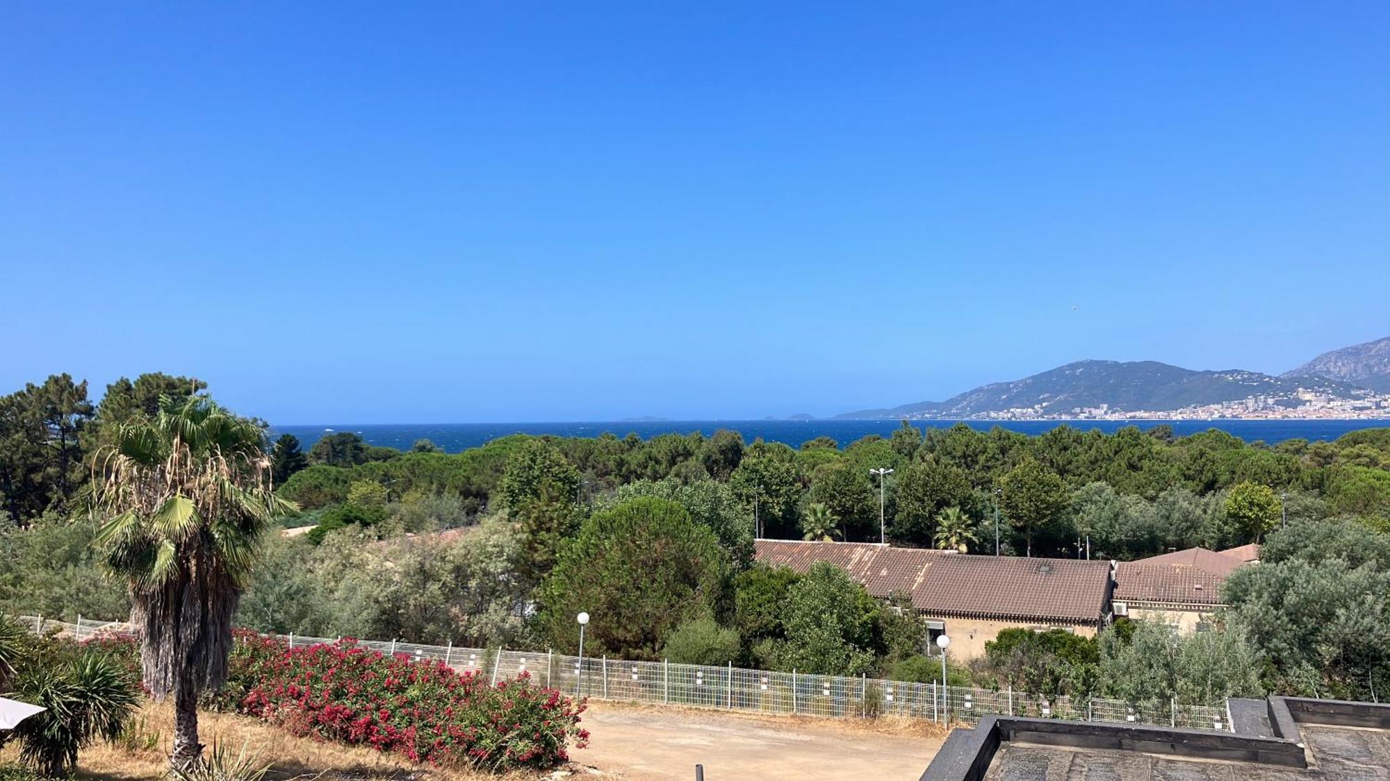 Porticcio Vacations - Terrasse, Piscine, Jacuzzi, Clim - By Tgb Daire Dış mekan fotoğraf